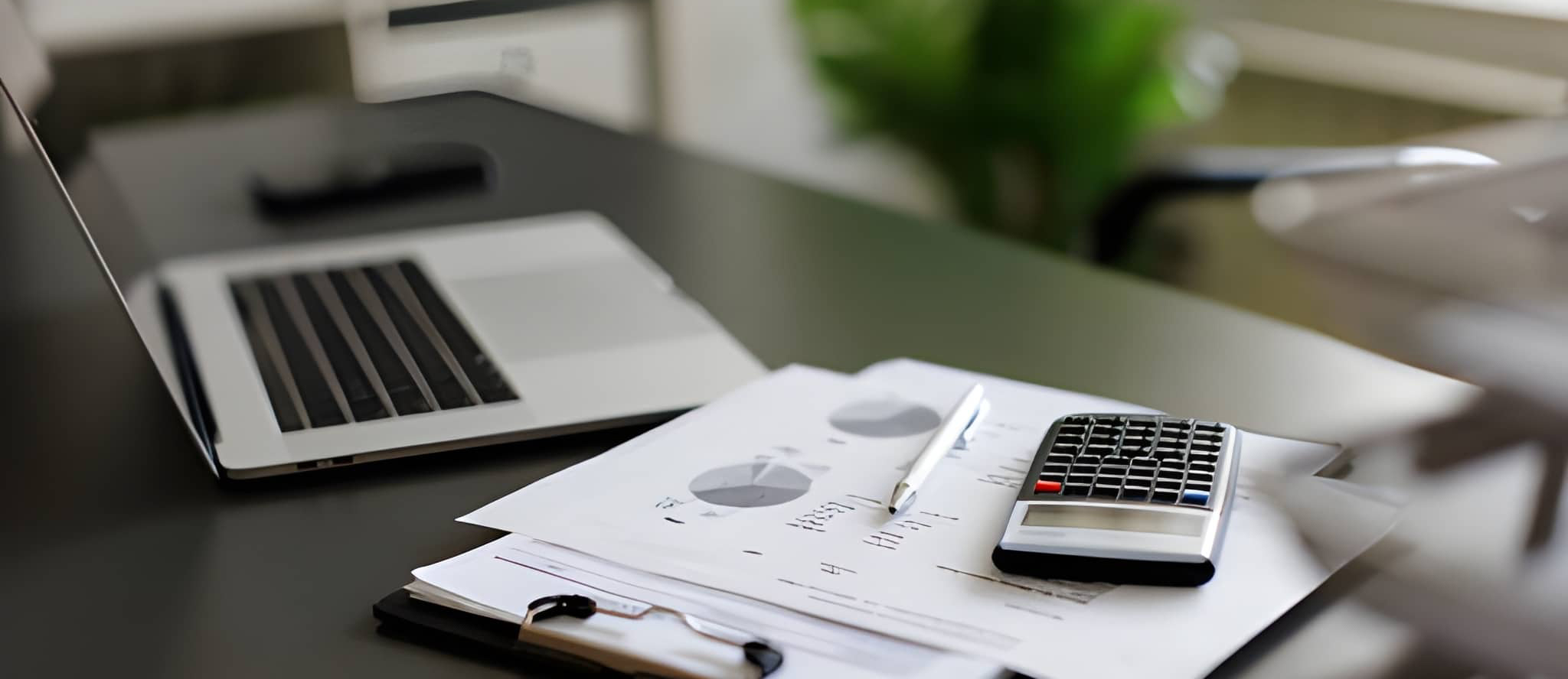 Financial Statement Audits